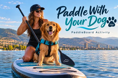 Paddle With Your Dog PaddleBoard Activity