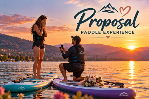 Proposal Paddle Experience